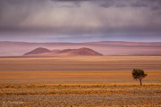 Regen in der Namib